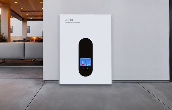51.2V 200Ah LiFePO4 태양 에너지 저장 배터리 6000 사이클