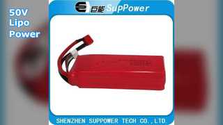 거대 E-자전거 등을 위한 50V Lipo 배터리